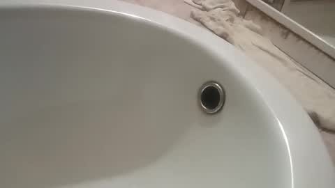 ciccilli online show from 9, 11, 2025