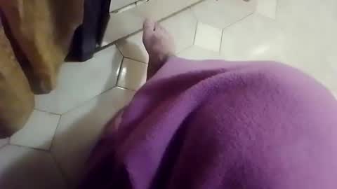 ciccilli online show from 13, 4, 2026