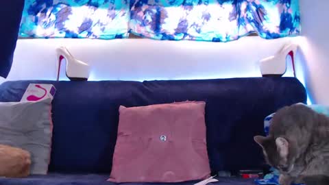 cicimom online show from 5, 2, 2025