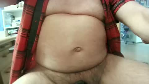 Circus Bear online show from 24, 3, 2026