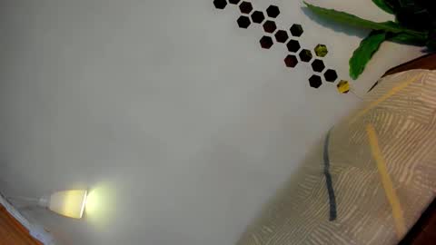 Amanda trans red one  Anna Girl black one online show from 12, 1, 2026