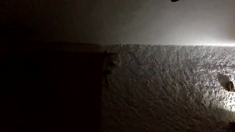 claudi779 online show from 11, 1, 2026