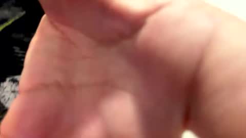 claudiolicro online show from 12, 4, 2026