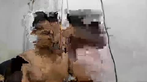cmsdeivis online show from 4, 3, 2026