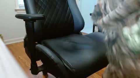 Snapshot of cobra19765 chatting on 17, 1, 2026 cobra19765 online show from 17, 1, 2026