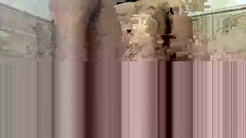 Snapshot of cockdoc4444 chatting on 15, 10, 2025 cockdoc4444 online show from 15, 10, 2025