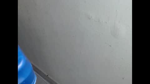 cockfanx online show from 21, 2, 2025