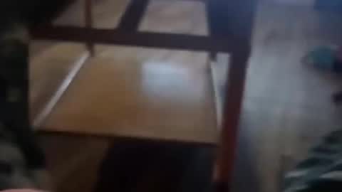 cockgod308236 online show from 24, 11, 2025