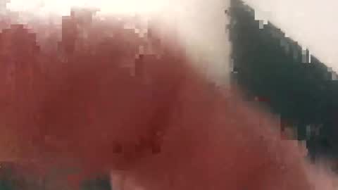 Cockhunter online show from 11, 9, 2025