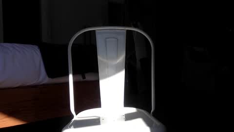 Snapshot of cockycucumber101 chatting on 20, 12, 2024 cockycucumber online show from 20, 12, 2024