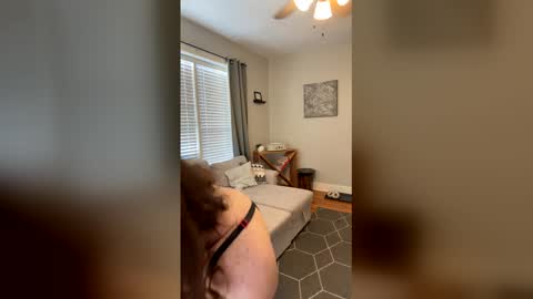 Code By Nova online show from 18, 12, 2025