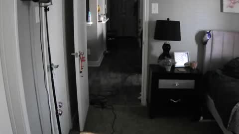 TheGoddessCodie online show from 12, 12, 2024