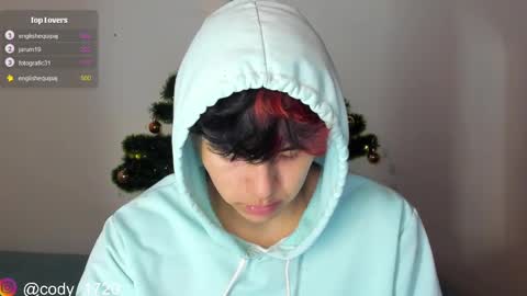 Snapshot of cody_evanss chatting on 17, 12, 2024 cody online show from 17, 12, 2024