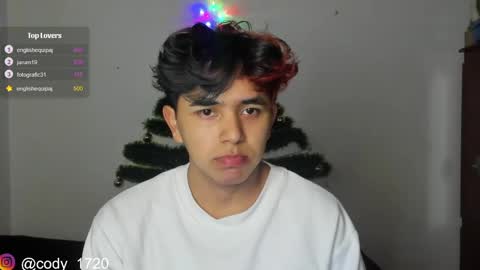 Snapshot of cody_evanss chatting on 31, 12, 2024 cody online show from 31, 12, 2024