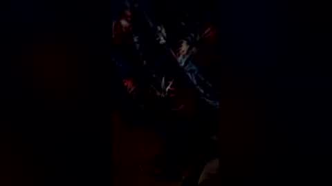 codyonit888 online show from 11, 1, 2026