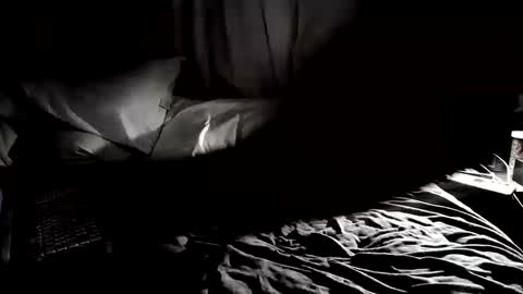 Snapshot of cojax1414 chatting on 25, 9, 2025 Mr. Fun Time online show from 25, 9, 2025