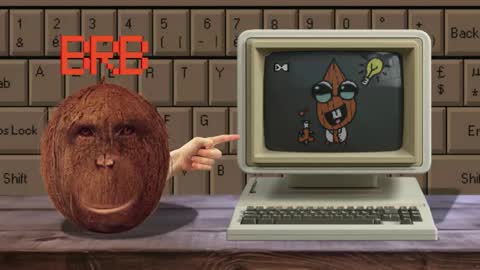 Cokia online show from 3, 4, 2026