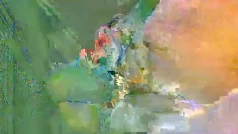 Snapshot of colourlight chatting on 24, 11, 2025 colourlight online show from 24, 11, 2025