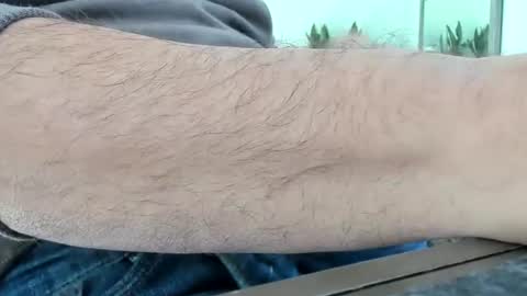 Colt online show from 17, 11, 2025