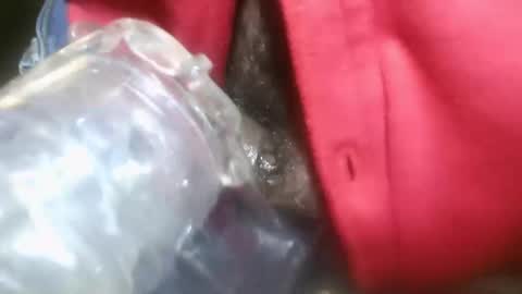 bearded hairy pits big brown cock online show from 13, 1, 2025