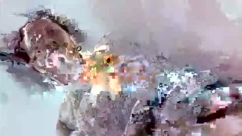 Snapshot of cook135710 chatting on 17, 11, 2025 Mount N Drew online show from 17, 11, 2025