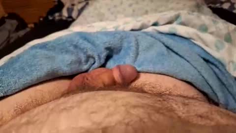 Harry 13 online show from 28, 2, 2026