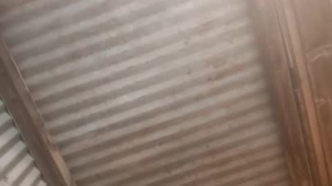 Jaiscookie cum play with me online show from 19, 2, 2026
