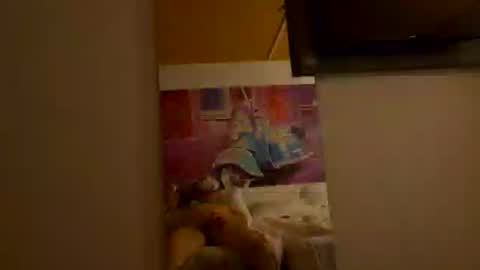 coral_06 online show from 3, 8, 2026