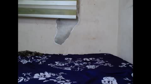 cornxslut online show from 15, 9, 2025