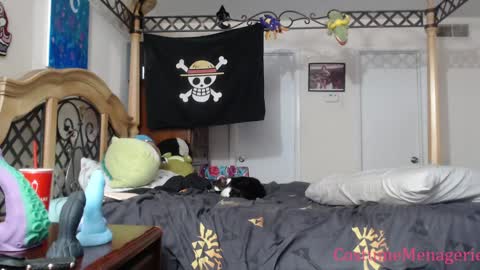 Amethyst Cox online show from 17, 1, 2025