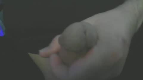 lone stallion online show from 12, 2, 2025