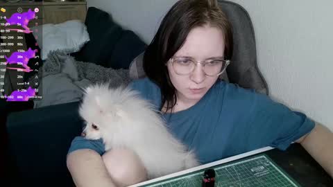 crash_test13 online show from 25, 12, 2024