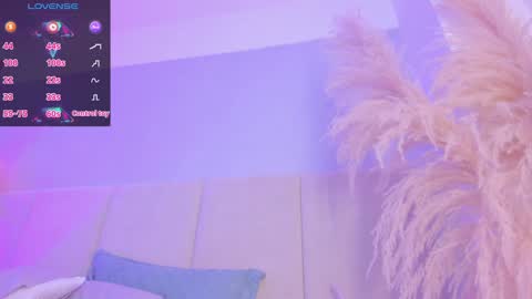 You can ask online show from 5, 2, 2025