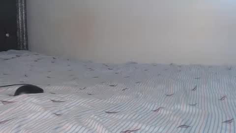 Snapshot of creamybabes0 chatting on 6, 1, 2026 creamybabes0 online show from 6, 1, 2026