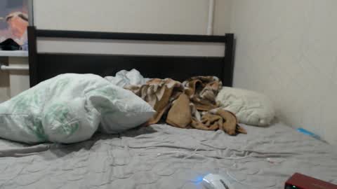 JOIN IN A FAN CLUB AND YOU WILL HAVE 90 OF MY PHOTOVIDEO    FREE FANSLY -  online show from 19, 1, 2026