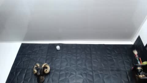 Snapshot of cristal_smith06 chatting on 26, 2, 2026 Hanna online show from 26, 2, 2026