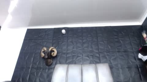 Snapshot of cristal_smith06 chatting on 15, 3, 2026 Hanna online show from 15, 3, 2026