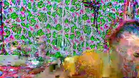 cristine316 online show from 25, 2, 2025