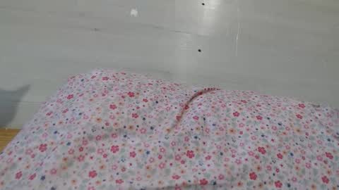 cristiyna36 online show from 11, 3, 2026