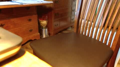 Crushit online show from 14, 9, 2025