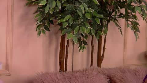 crystallred online show from 18, 2, 2026