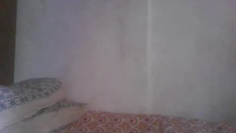 Noha online show from 12, 3, 2026