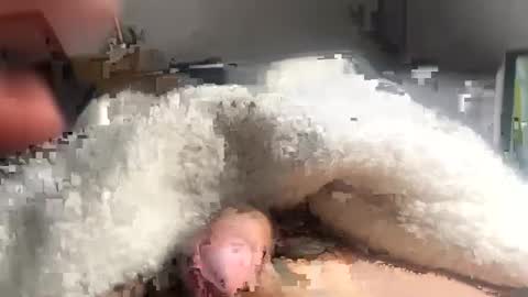 cumonmyf33t online show from 22, 2, 2025