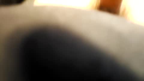 cumonmyface427 online show from 22, 12, 2025