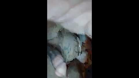 Aprilia online show from 23, 9, 2025