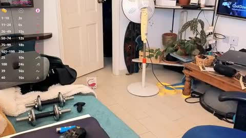 curiousgenie online show from 20, 4, 2026