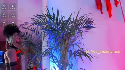 Rose online show from 22, 11, 2025