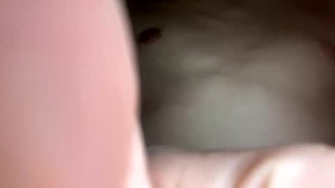 Snapshot of curvy24777 chatting on 23, 2, 2025 curvy24777 online show from 23, 2, 2025