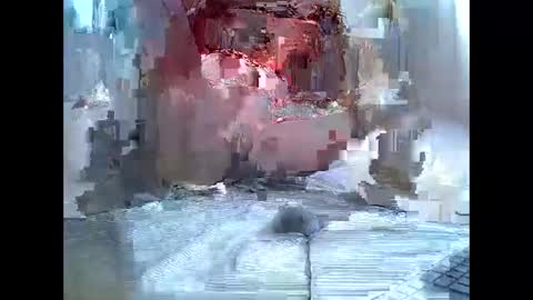 cute_savanna online show from 3, 4, 2026