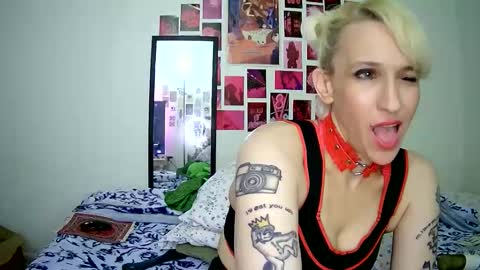 Bella online show from 15, 3, 2026